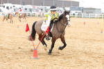 SBM_004370