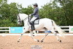 Cls 10 Freestyle Adv Medium SILVER portfolio