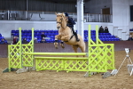 SBM_002550