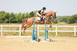SBM_001061