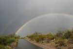 Saguaro National Park