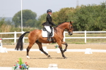 SBM_006191
