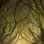 Entwined