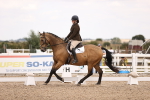 SBM_05165