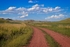 Backroad Afternoon