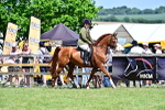 SBM_17453