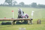 578-Simon.Wooding-CURRAGHGRAIGUE.WILFRED portfolio