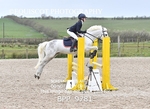 CLASS 4 Pony BritiNovice / 0.80m Open portfolio