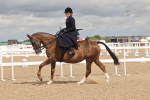 SBM_06360
