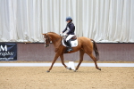 SBM_000882
