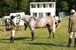 SBM_20032