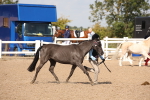 SBM_03087
