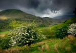 How Green Is My Valley