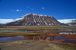 Westfjords, Iceland