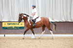 SBM_001767