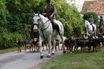 Berks & Bucks - The Old farmhouse - Hound Exercise 20-08-25 portfolio