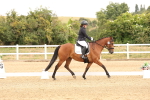 SBM_000686