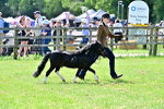 SBM_03663