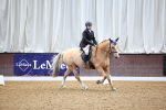 SBM_003723