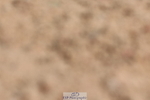 240706A-103424-00448