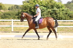 SBM_003726