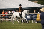SBM_09633
