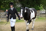 WJ6_8015