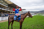 240126-Race 7-Ma Shantou-4648