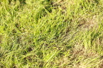 SBM_10859