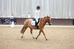 SBM_008165