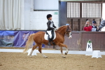 SBM_004204