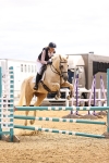 SBM_000405_Class 3 - Senior British Novice - 90cm