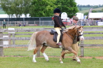 SBM_08104