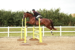SBM_006613