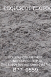 BPP_0559