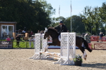 SBM_36233