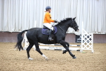SBM_002934