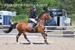 BPP_3383
