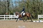 Cls 7 Novice 34 portfolio