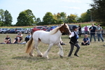 WJ6_6566