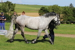 SIAL5958