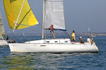 190629 PAPILLON GBR6953T D43A2254 1