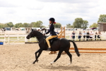 SBM_06162