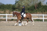 SBM_020240