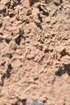 230314A-124642-01231