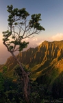 Evening Kalalau Valley