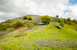 Paulith Bank hilltop
