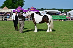 SBM_10033
