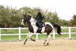 SBM_007687