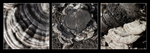 Natural Structures Tryptic 1